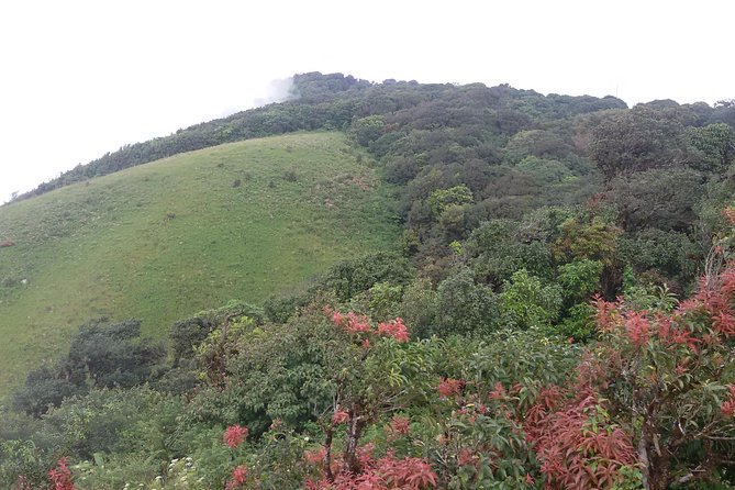 Inthanon Small-Group with Kew Mae Pan Trail from Chiang Mai include Lunch - Wachirathan waterfall and Mae Klang Luang: the morning flavor of the mountains