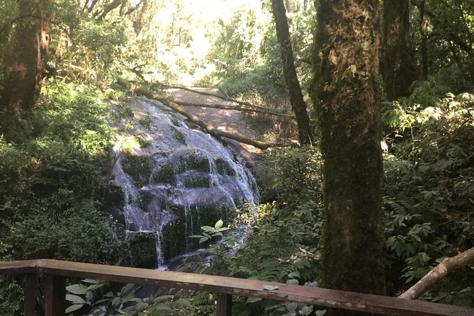 Inthanon Small-Group with Kew Mae Pan Trail from Chiang Mai include Lunch - Thailand’s highest summit area: Angka Luang Natural Trail and the shrine stops