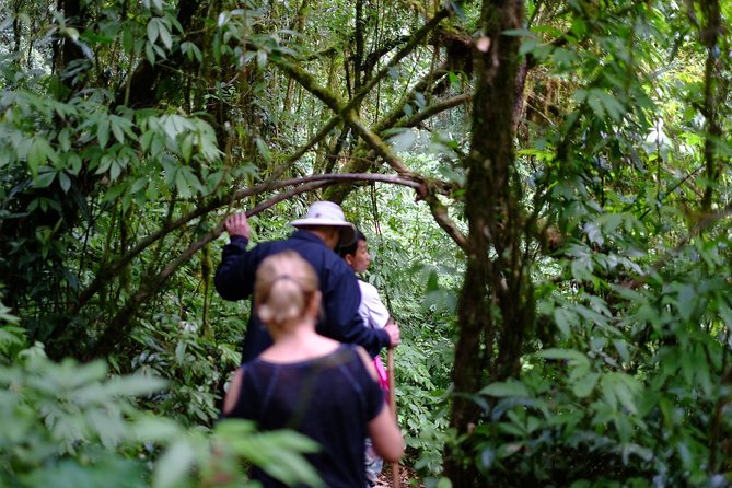Inthanon Small-Group with Kew Mae Pan Trail from Chiang Mai include Lunch - How long is the day, and when should you schedule it