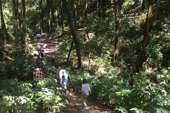 Inthanon Small-Group with Kew Mae Pan Trail from Chiang Mai include Lunch - Leaving Chiang Mai: pickup, ride time, and what to expect on the road