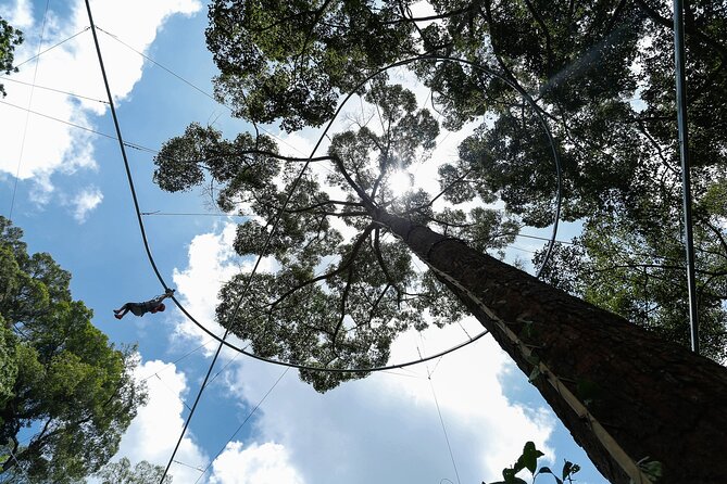 Jungle Flight Zipline Adventure From Chiang Mai - Sky Walk: Slower Air, Close-Up Trees, and a Better Perspective