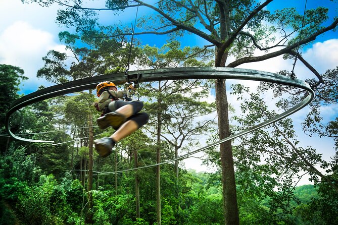 Jungle Flight Zipline Roller Coaster - Key points before you go