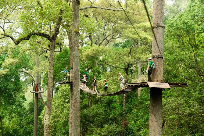 Jungle Flight Zipline Roller Coaster - Roughly 15 ziplines: what the timing and pacing really feel like