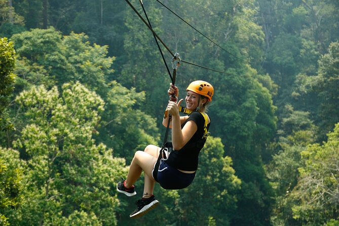 Jungle Flight Zipline Roller Coaster - The 1000-year-old forest setting: why this isn’t just a ride