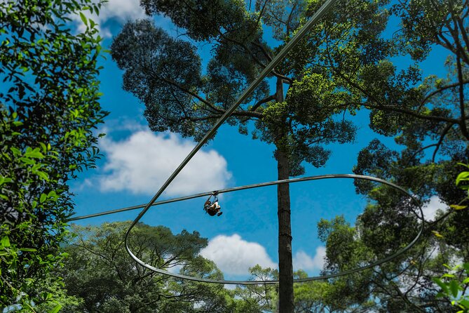 Jungle Flight Zipline Roller Coaster - The jungle roller coaster finish: how it changes the ending