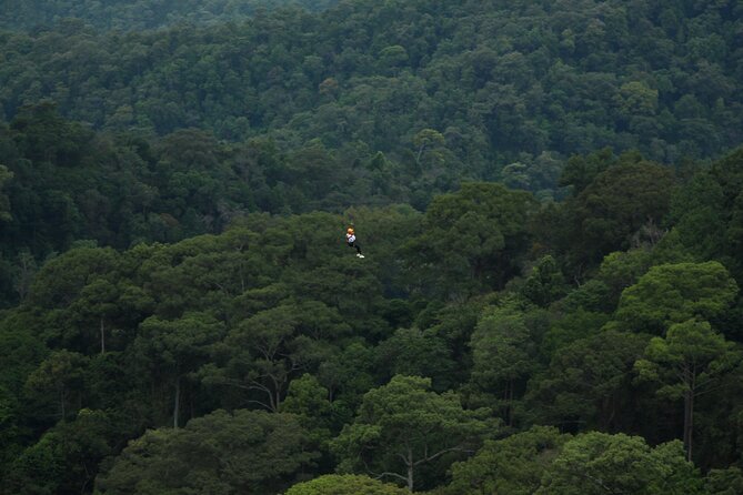 Jungle Flight Zipline Roller Coaster - Lunch, coffee or tea, and what “set meal” means for your energy