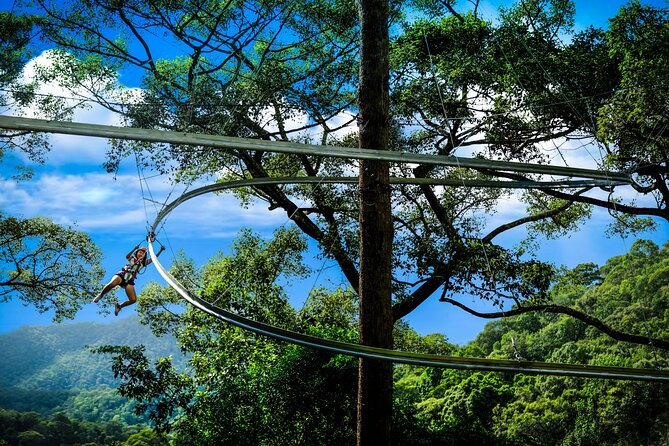 Jungle Flight Zipline Roller Coaster - Gear up fast: safety talk, trained support, then a short trek