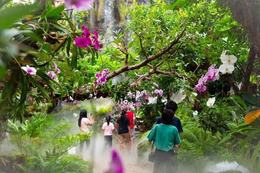 Lalita Cafe & Chiang Rai Temple(White+Blue) from Chiangmai - Price and logistics: what you’re paying for (and why it makes sense)