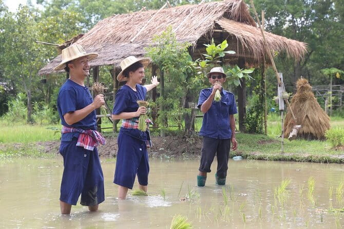 Local Farming Experience in Chiang Mai, Thailand - Who should book this farm experience?