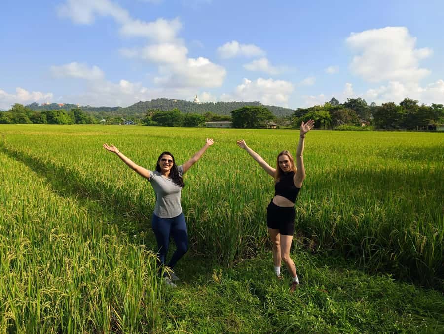 Meditation & Yoga Retreat in Nature - A Half-Day Reset in Chiang Mai’s Countryside
