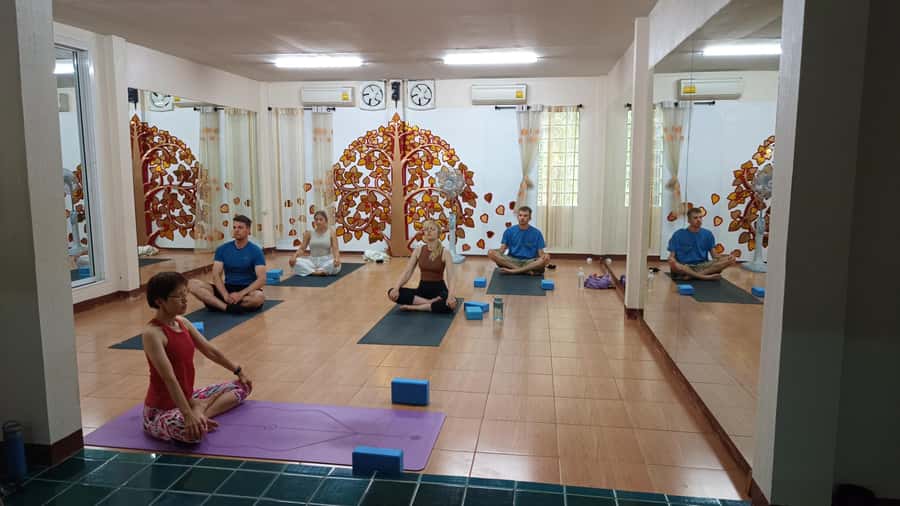 Meditation & Yoga Retreat in Nature - Exploring Neighbor Rice Fields and Learning the Rice Cycle