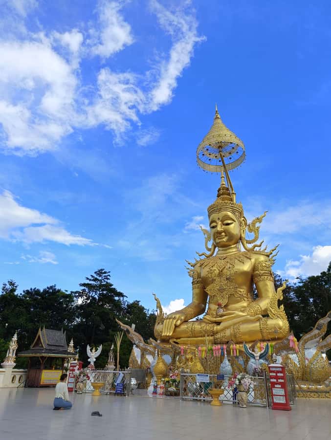 Meditation & Yoga Retreat in Nature - Price and Value for a 5.5-Hour Practice + Culture Day