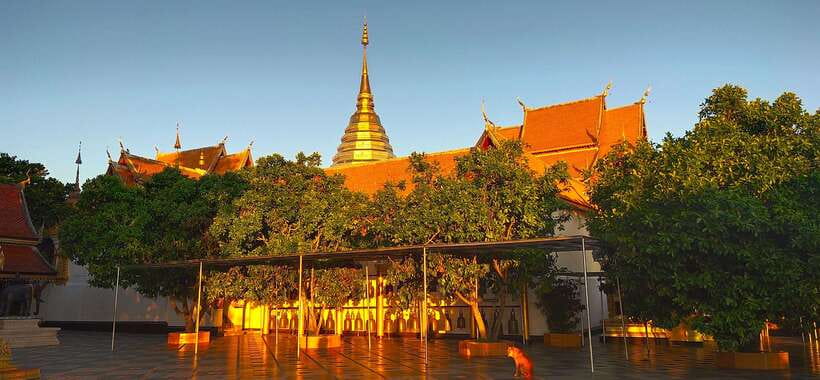 Monk trails hike, Wat Phalat, Monk chanting, Wat Doi Suthep. - Logistics That Matter: Timing, Transportation, and Your Energy Budget