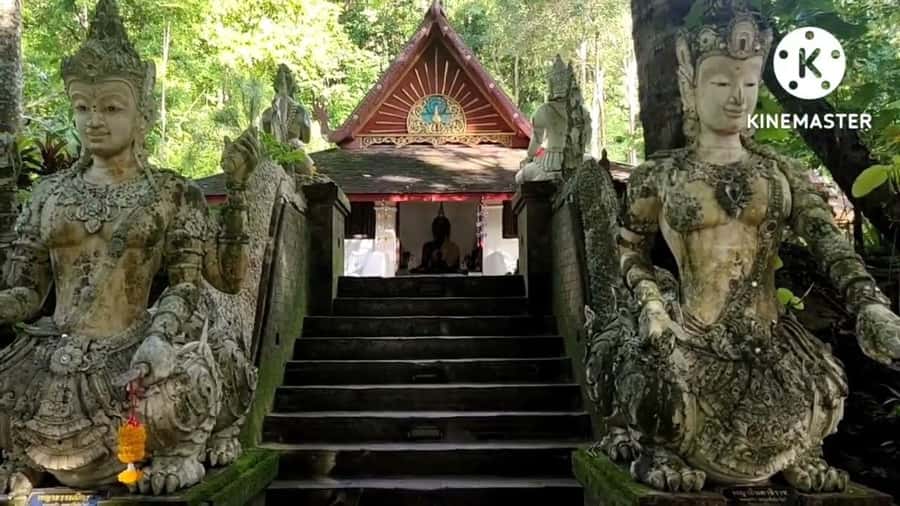 Monks chanting, Wat Doi Suthep and Wat Phalad+ Meditation - Entering the Temple Circuit: Why This Tour Works at Night
