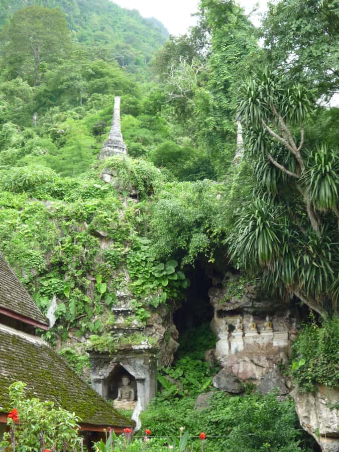 Monks chanting, Wat Doi Suthep and Wat Phalad+ Meditation - Wat Doi Suthep and the Stair Climb: Lanna Gold Meets Big City Views