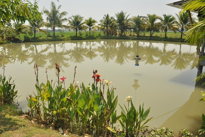 Morning Cooking Class in Organic Farm with Local Market Tour - The farm kitchen: where hands-on Thai really clicks