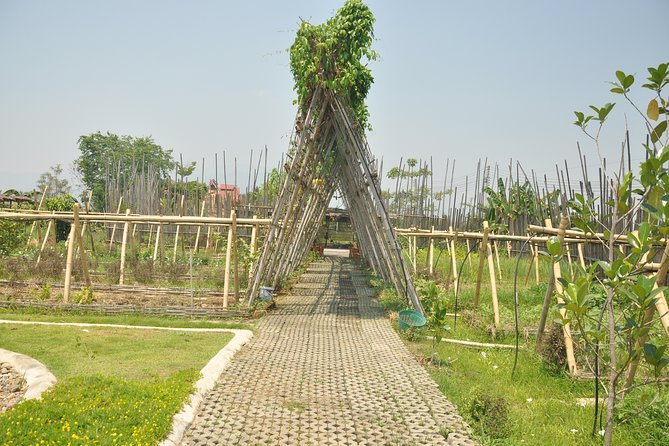 Morning Cooking Class in Organic Farm with Local Market Tour - Timing, pickup, and how this morning tour actually feels
