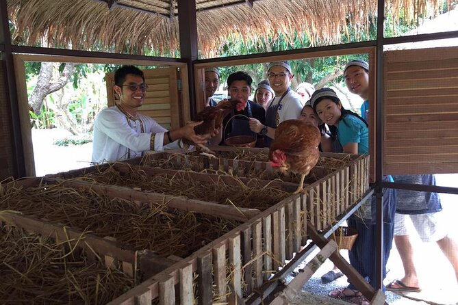 Morning Cooking Class in Traditional Pavilion with Beautiful Garden - Chiang Mai - Why the Market-to-Pan Teaching Actually Helps You Eat Better
