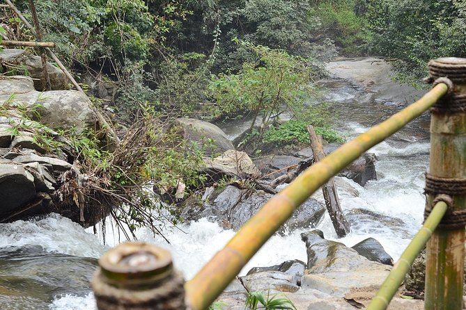 Mount Doi Inthanon Hiking & Bird Watching - Mountain views and the 2,565 m summit moment
