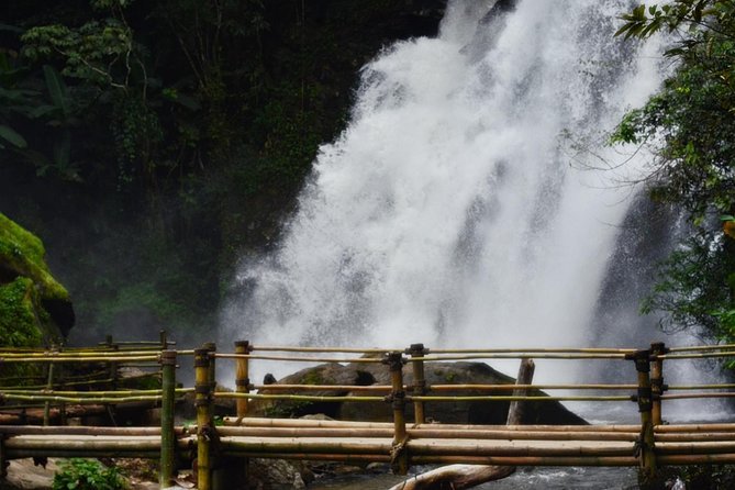 Mount Doi Inthanon Hiking & Bird Watching - Food plan: breakfast, fruit, lunch, and coffee along the hike