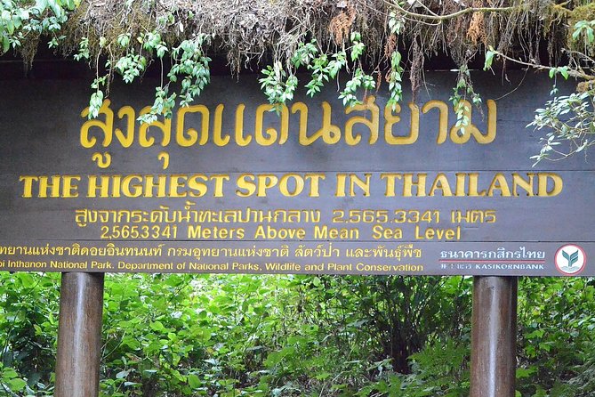 Mount Doi Inthanon Hiking & Bird Watching - Price and value: what $152.50 really buys you