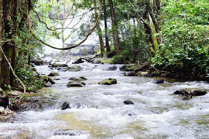 Mount Doi Inthanon National Park Sunrise and Hiking - First Light at Doi Inthanon: Why This Tour Works