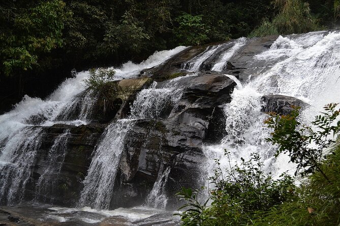 Mount Doi Inthanon National Park Sunrise and Hiking - Stop 3: Mae Khlang Luang Village Stay and Traditional Coffee