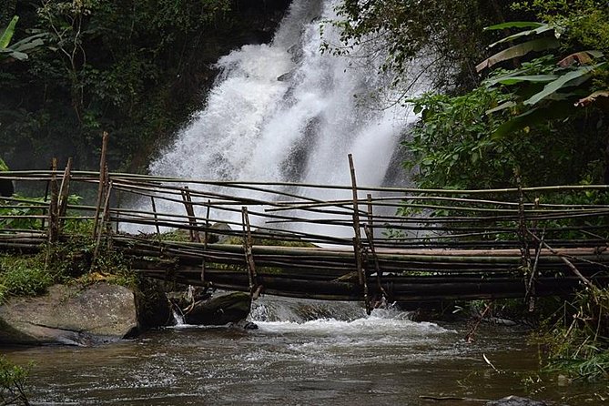 Mount Doi Inthanon National Park Sunrise and Hiking - Meals Included: Breakfast Box and Local Lunch Without the Guesswork