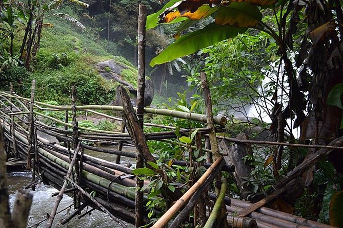 Mount Doi Inthanon National Park Sunrise and Hiking - The 4:00 a.m. Pickup: What to Expect Before You Even Hike