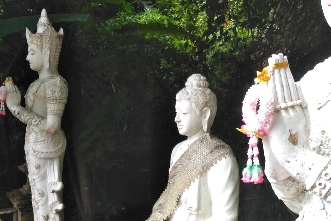 No.1 Chiang Mai: 3-Hour Monk Trail Hike to Wat Doi Suthep & Palad - Stop 1: Doi Suthep-Pui National Park start