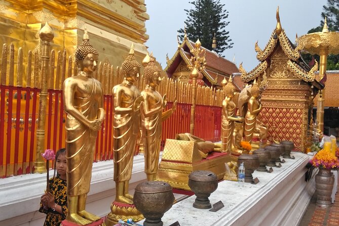 No.1 Chiang Mai: 3-Hour Monk Trail Hike to Wat Doi Suthep & Palad - Waterfalls, coffee stops, and lunch at altitude