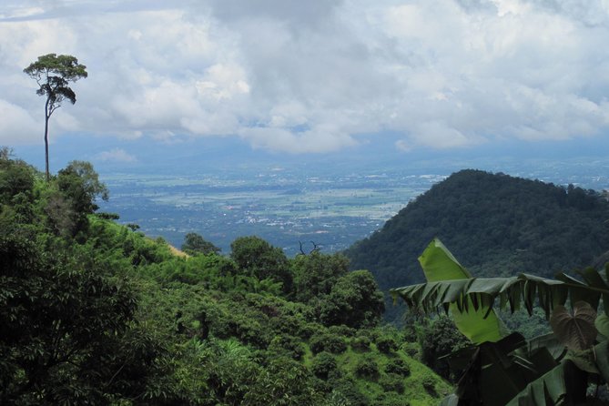 No.1 Chiang Mai: Advanced Downhill Mountain Biking, Suthep N.Park - The 4WD Lift to Doi Pui Summit (About 1550m): Why Start Up High