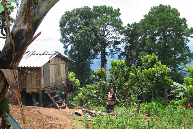 No.1 Chiang Mai: Advanced Downhill Mountain Biking, Suthep N.Park - Stop 1: Doi Suthep–Pui National Park and the Trail That Tests Control