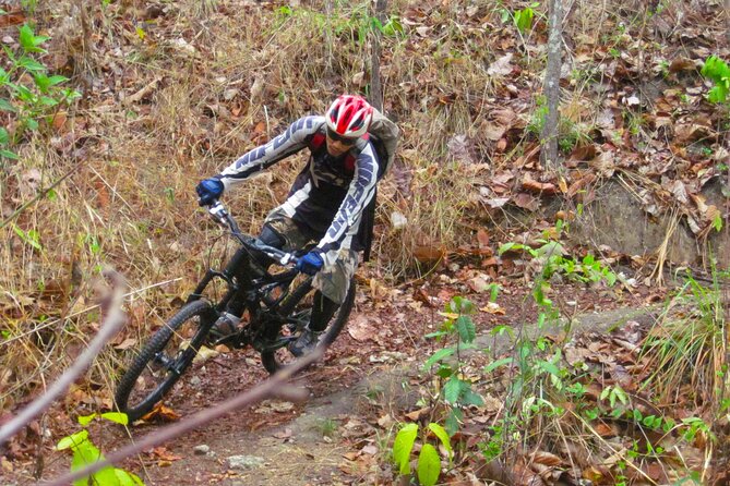 No.1 Chiang Mai: Advanced Downhill Mountain Biking, Suthep N.Park - Coffee Breaks and Hill-Tribe Villages: More Than Scenery Stops