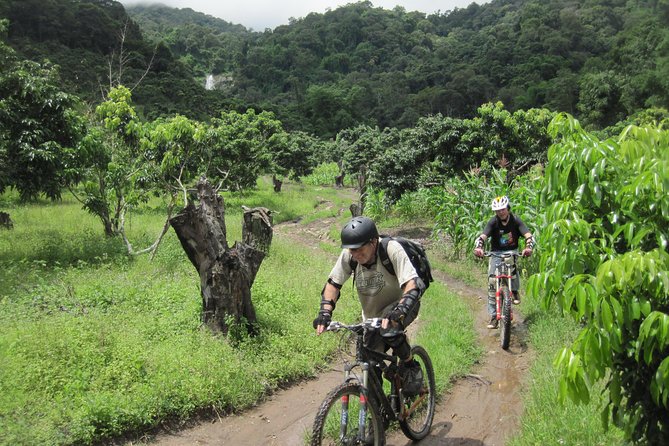 No.1 Chiang Mai: Advanced XC Downhill Biking, Doi Suthep N. Park - From Doi Pui summit to Doi Suthep-Pui National Park: what this day feels like