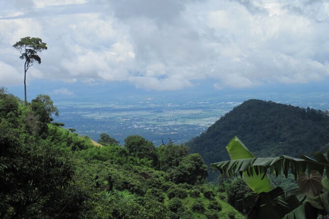 No.1 Chiang Mai: Advanced XC Downhill Biking, Doi Suthep N. Park - The coffee and forest break: small pause, good reset