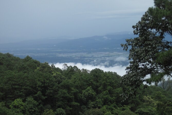 No.1 Chiang Mai: Advanced XC Downhill Biking, Doi Suthep N. Park - Bikes, gear, and safety: why this ride is built for control