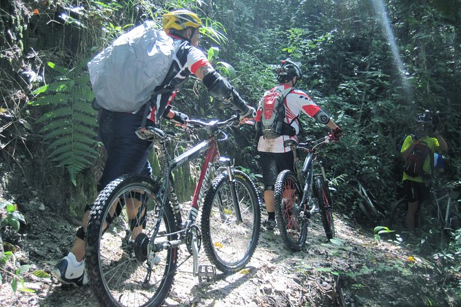 No.1 Chiang Mai: Advanced XC Downhill Biking, Doi Suthep N. Park - Price and value: what you’re really paying for