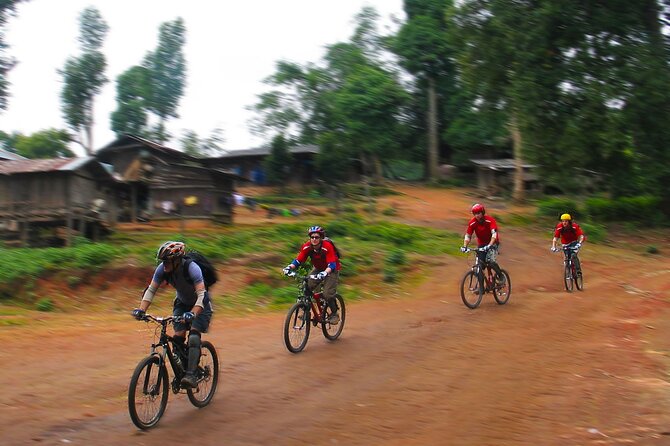 No.1 Chiang Mai: Epic Doi Suthep Downhill MTB Adventure - Climbing Into Doi Suthep-Pui National Park (and Why That Matters)