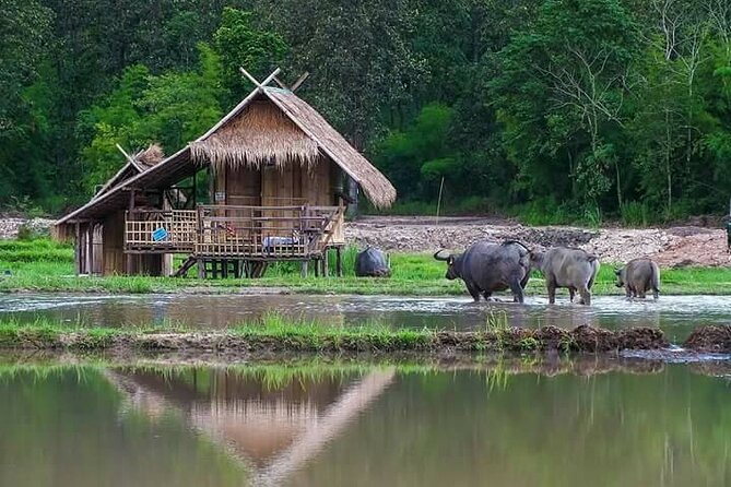 "No.1 Chiang Mai: Leisure Bicycle Ride to Lake Huay Tueng Tao" - Bike Quality and Safety Gear: Good Setup, Still Inspect First