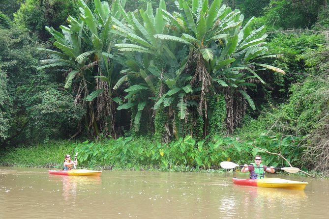 No.1 Chiang Mai: Leisure River Kayaking: Mae Taeng forest Reserve - Price and value: what $74.95 covers and what adds up