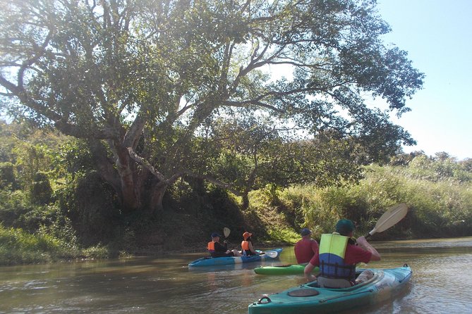 No.1 Chiang Mai: Leisure River Kayaking: Mae Taeng forest Reserve - Kayak lesson that gets you steering: single or double