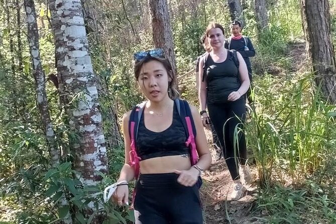 "No.1 Chiang Mai: Suthep N. Park Leisure walks & Mountain Biking" - The downhill payoff: wind, speed control, and a smoother return