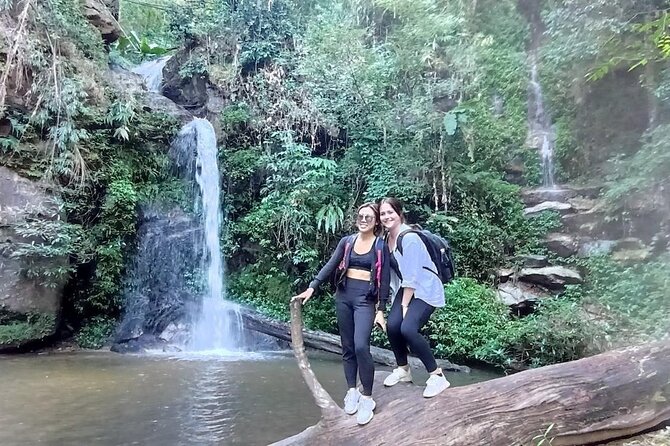 "No.1 Chiang Mai: Suthep N. Park Leisure walks & Mountain Biking" - Duration, group size, and how to judge the effort