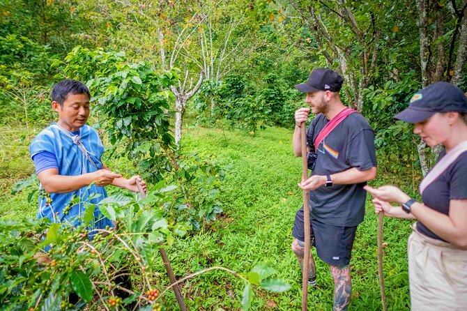 Off the Map Chiang Mai Jungle Coffee Trek Roast and Brew - V60 brewing workshop: make a cup the way you learned it