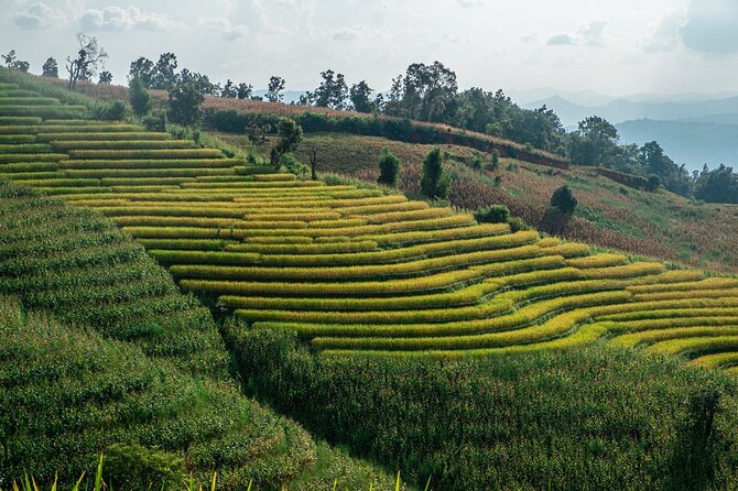 One day Doi Inthanon & Trekking at Pha Dok Siew - First Steps: 7:00am departures and smooth transfers