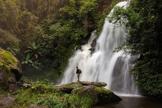 One day Doi Inthanon & Trekking at Pha Dok Siew - The Pha Dok Siew trek: gentle forest walking with mud hazards