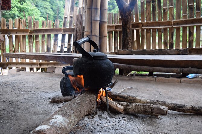 One Day Inthanon National Park (Private Tour) - Karen hill tribe village and mountain coffee: where the day turns personal