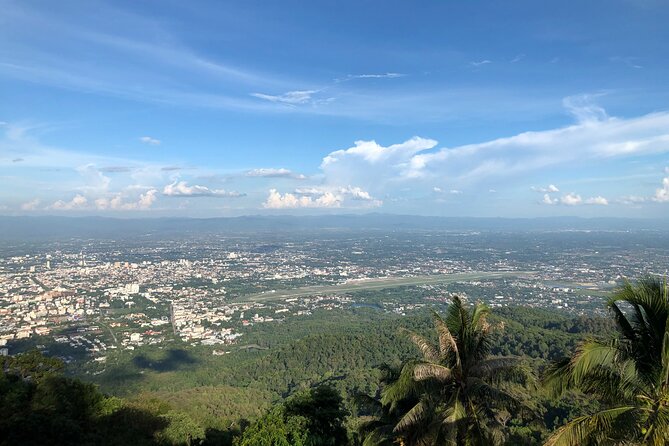 One Day Tour Doi Suthep Temple, Palad Temple, Orchid Farm, Longneck hill tribe village (Private tour) - Why This Private 7–8 Hour Tour Works in Chiang Mai