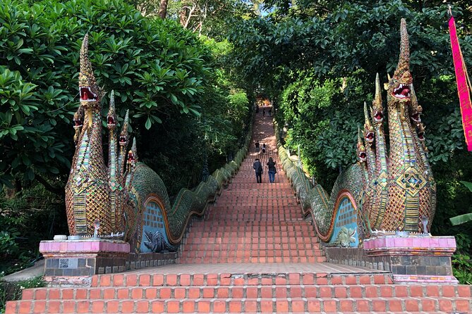 One Day Tour Doi Suthep Temple, Palad Temple, Orchid Farm, Longneck hill tribe village (Private tour) - Bai Orchid and Butterfly Farm: A 30-Minute Reset Between Temples